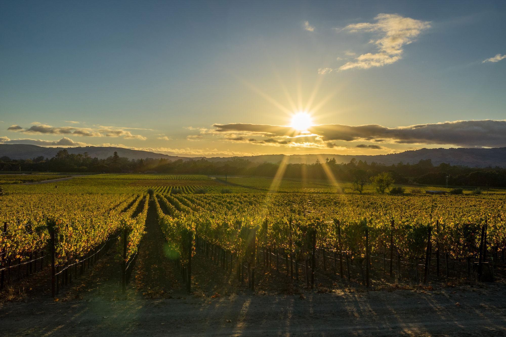 Sonoma-Valley-Sunset